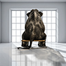 SNAPWebThumbCovers_5Good Song and image copyright Go Birch