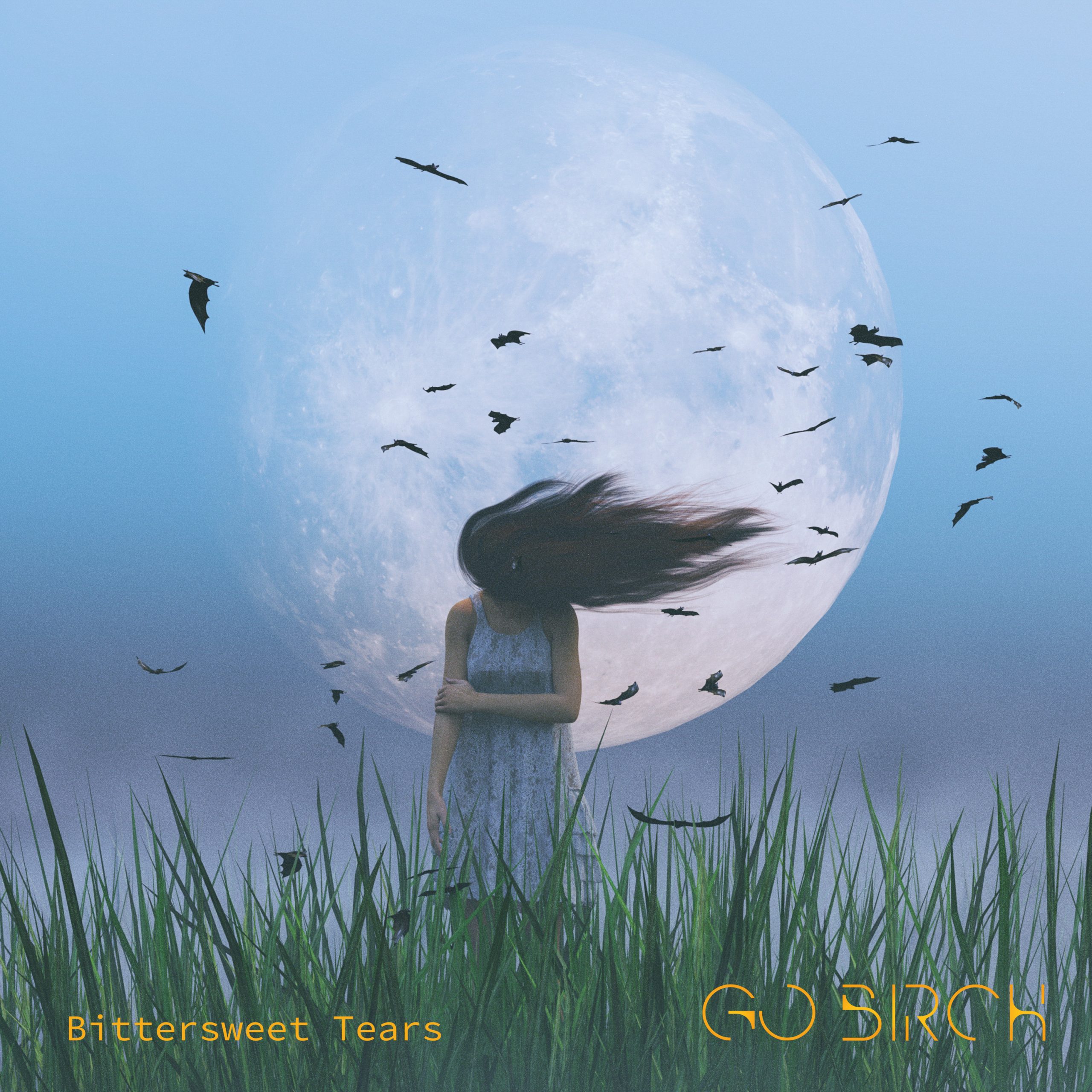 Bittersweet Song and image copyright Go Birch